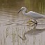 thumbs/IMG_5998.jpg